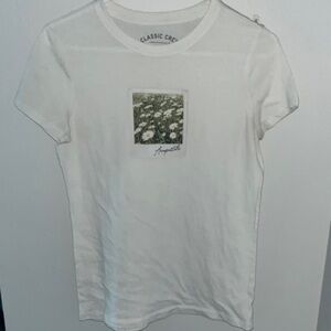 Aeropostale Classic Crew Gray T-Shirt